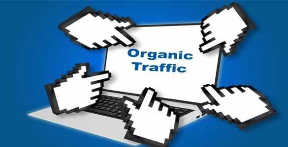 how i grow 100 organic traffic