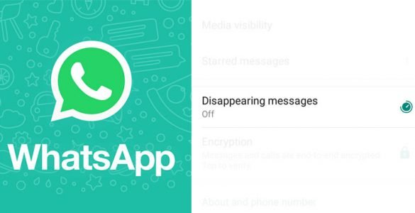 Whatsapp-disappearing-message-feature-faqs